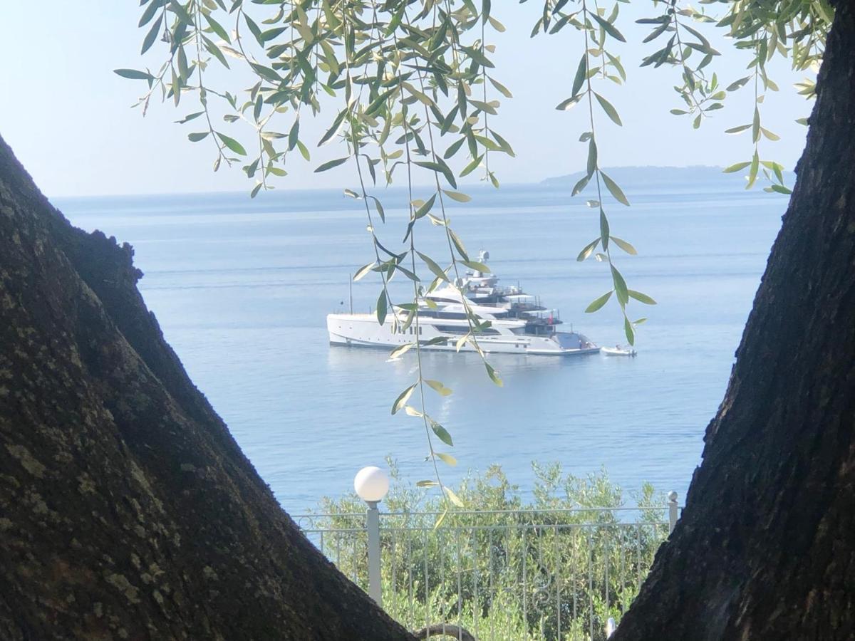 Vladimiros Apartments Barbati Dış mekan fotoğraf