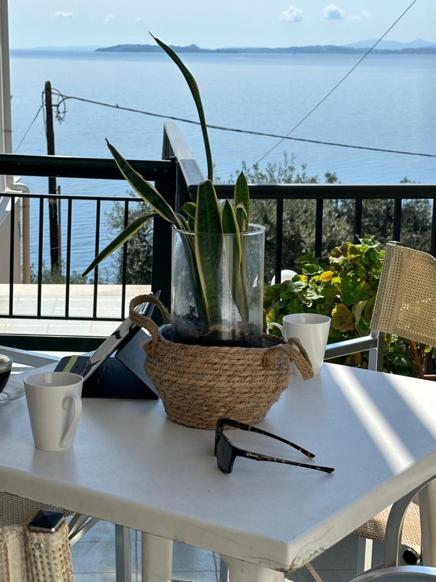 Vladimiros Apartments Barbati Dış mekan fotoğraf