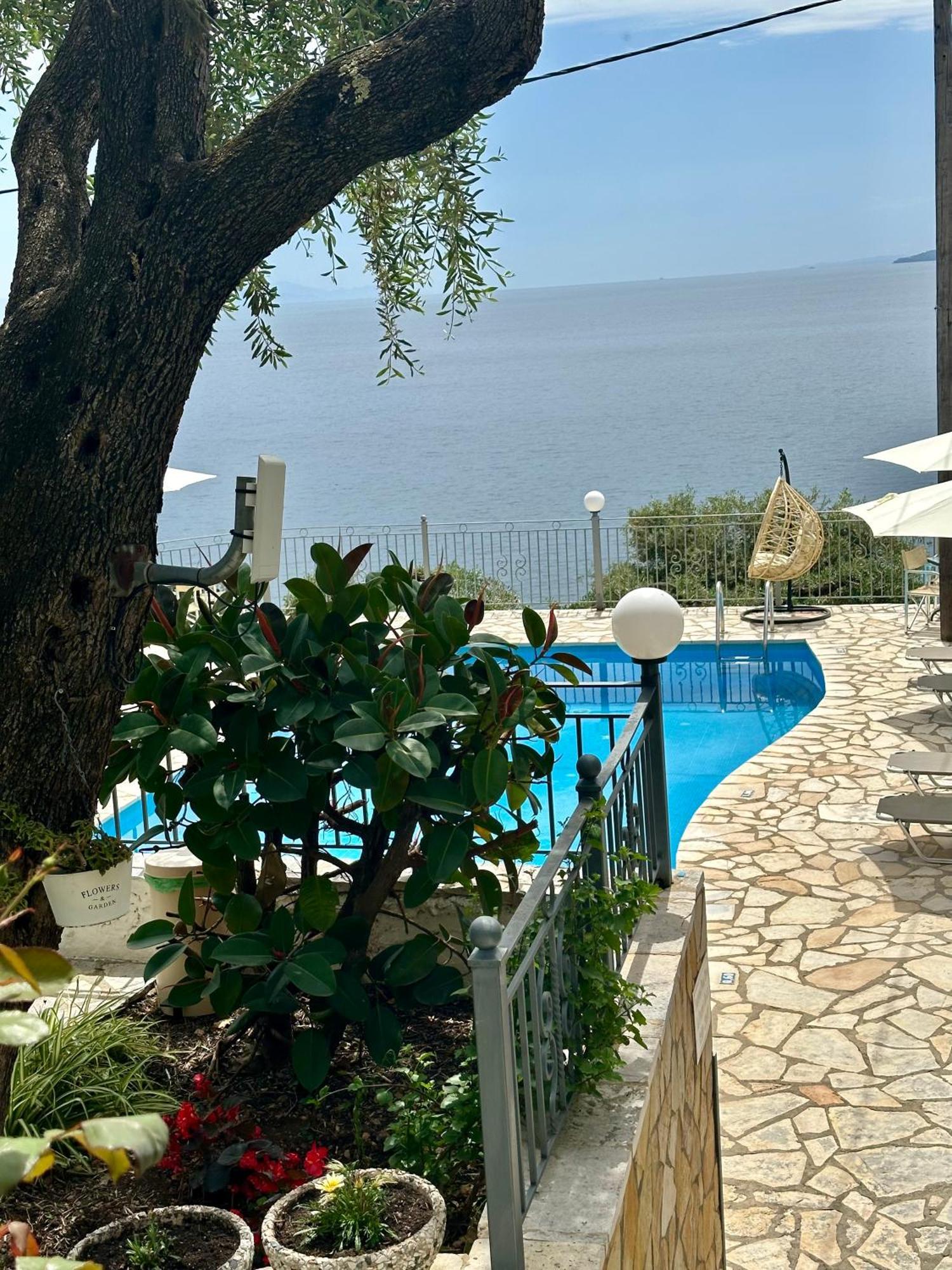 Vladimiros Apartments Barbati Dış mekan fotoğraf
