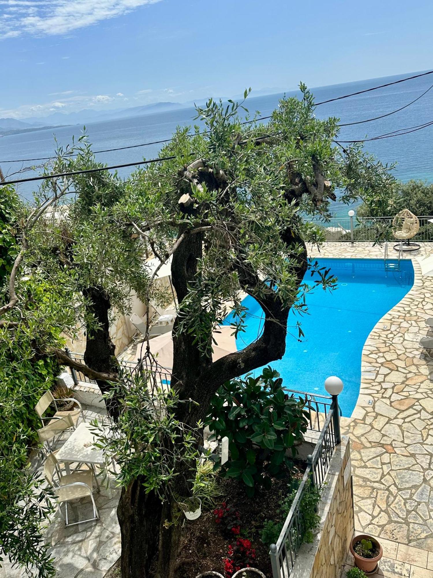Vladimiros Apartments Barbati Dış mekan fotoğraf