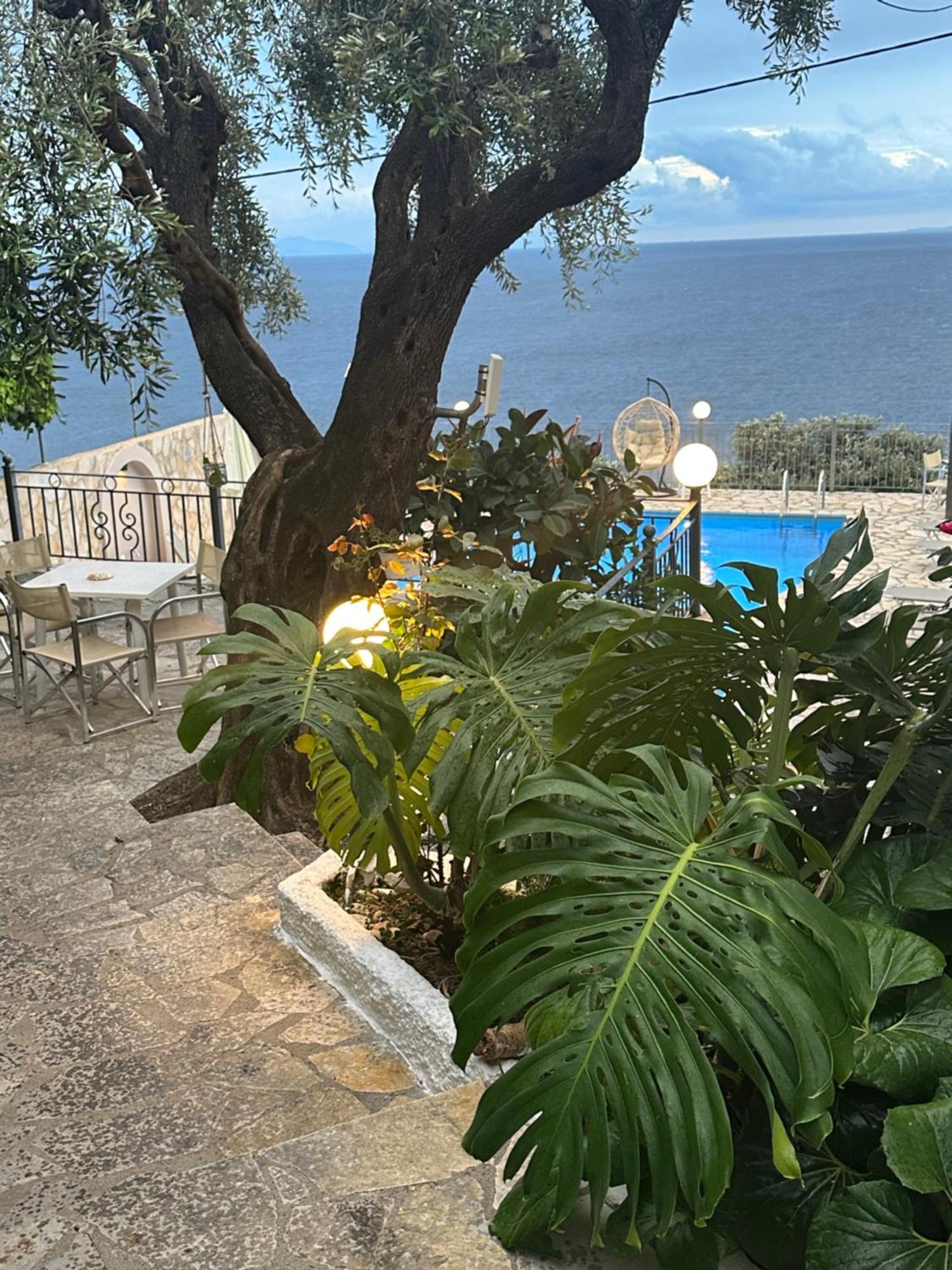 Vladimiros Apartments Barbati Dış mekan fotoğraf