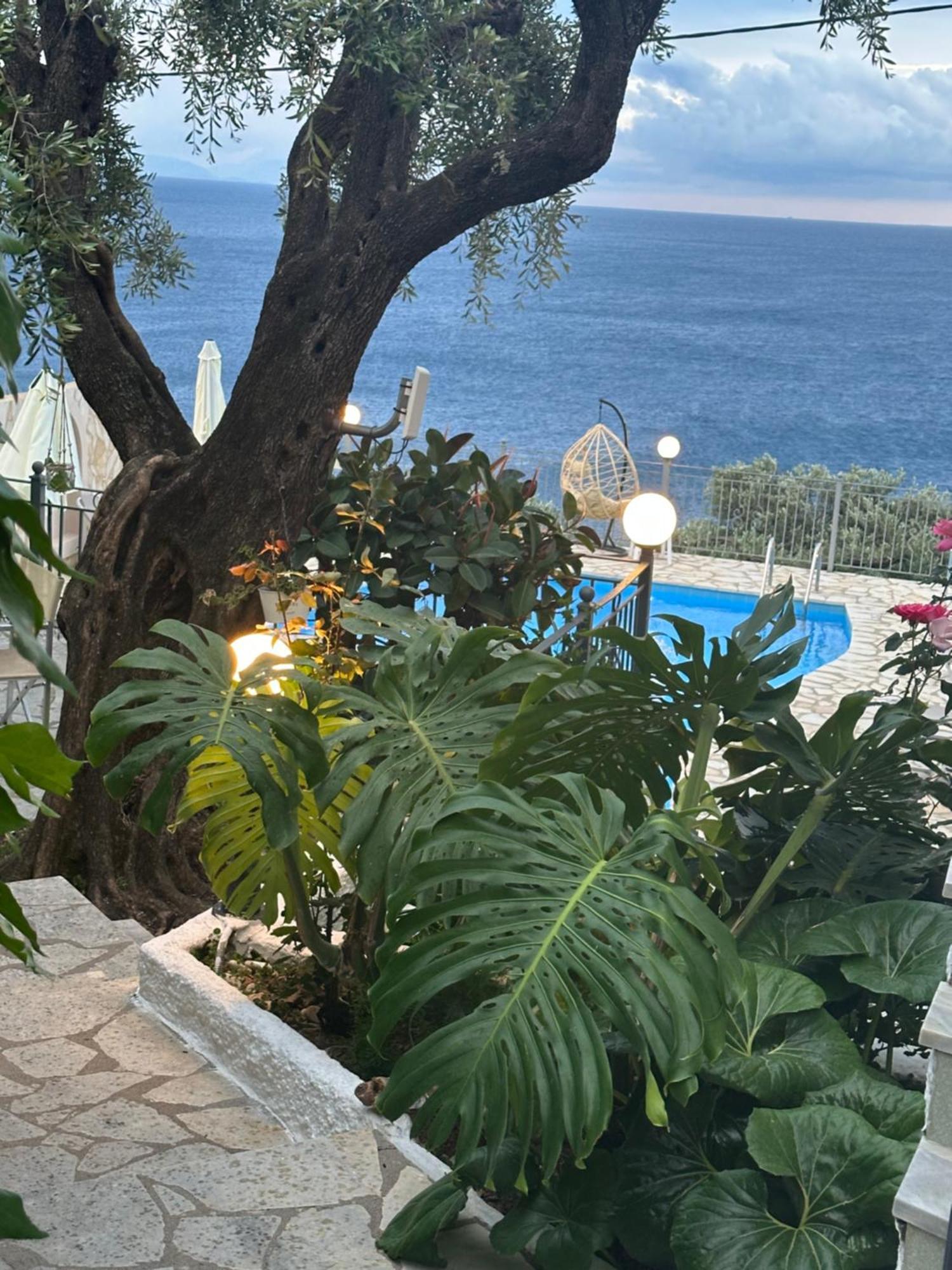 Vladimiros Apartments Barbati Dış mekan fotoğraf